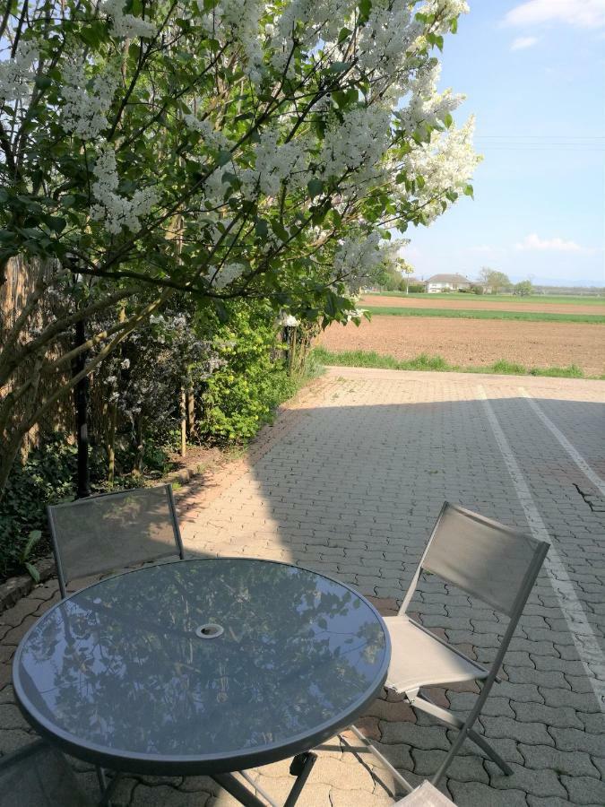 Le Cocon Appart Avec Parking Prive & Terrasse Sainte-Croix-en-Plaine ภายนอก รูปภาพ